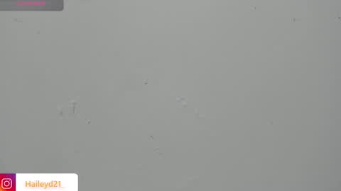 Hailey online show from March 23, 2:51 am