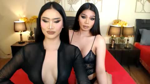 YOUR SIDECHIC HAILEY online show from May 3, 9:12 am