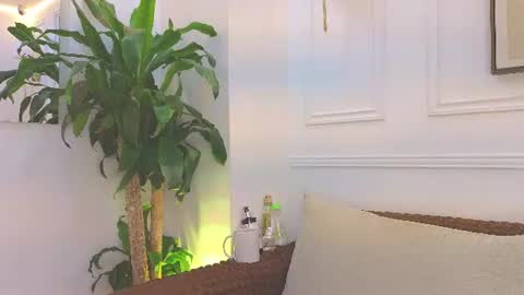 HANNA SOFIA online show from July 1, 11:10 am