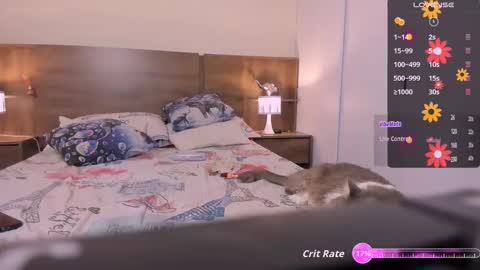 taylor live   online show from November 20, 11:28 pm