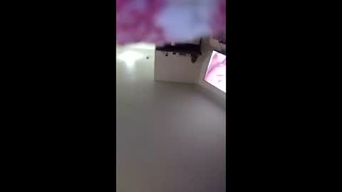 hcross2448 online show from January 17, 9:06 am