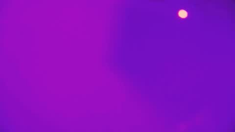 heidikendal online show from February 26, 3:22 pm