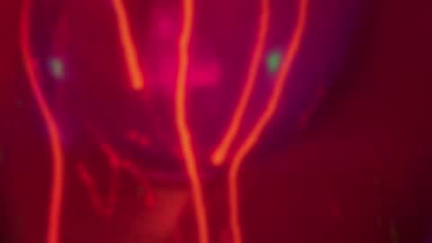 Alina online show from December 14, 7:25 pm