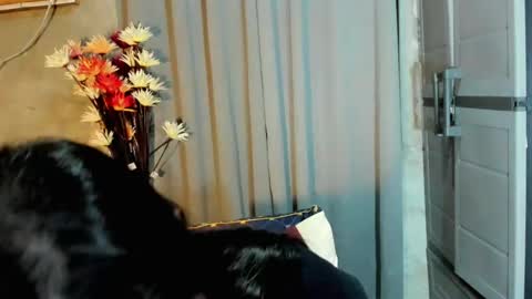 hilarymolly online show from July 20, 8:53 pm