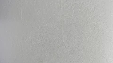 Hilary Thomsom online show from February 20, 11:56 am