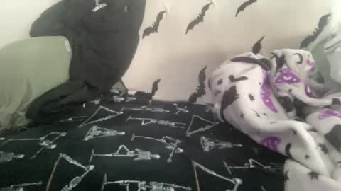 Stacey online show from March 1, 1:51 pm