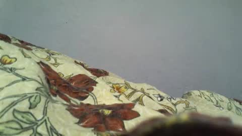 sweety alexia online show from May 22, 9:29 am