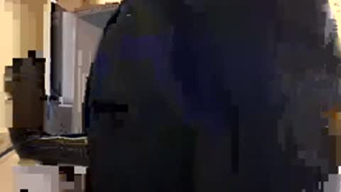 hornyhottykitten online show from December 1, 6:43 pm