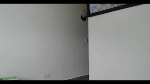 Mia online show from February 8, 2:27 pm