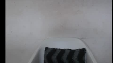 hotjessie0 online show from October 14, 7:44 am