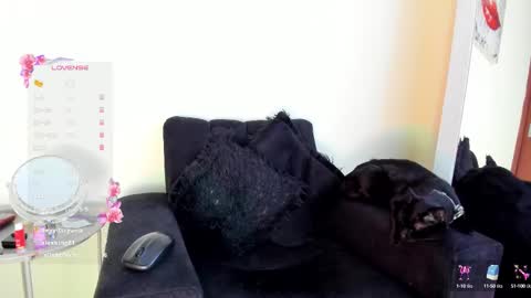 Angelica online show from November 10, 8:37 pm