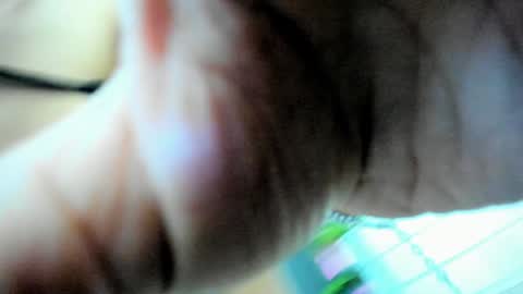 Snapshot of ivy_bellee chatting on December 3, 5:41 am Ivy bellee online show from December 3, 5:41 am
