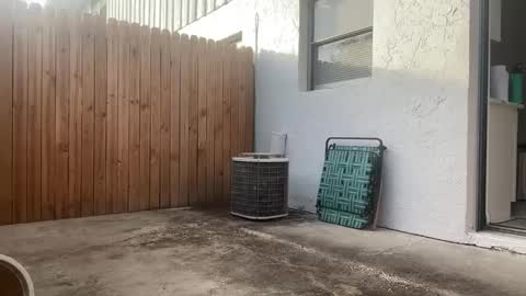 Jasmine Tate online show from December 1, 9:17 pm