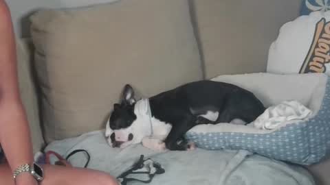 Jessica online show from January 8, 5:16 am