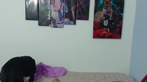 Jessica gomez online show from December 4, 2:03 am