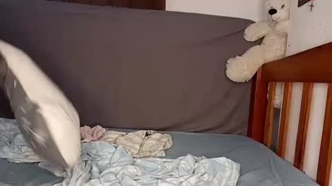 Sweetass online show from November 26, 7:31 am