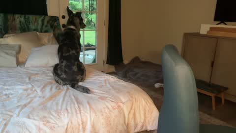 Kailee Smile online show from February 7, 4:16 am