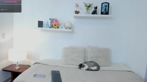 Snapshot of kailua_rose chatting on January 27, 7:03 pm KailuaRose online show from January 27, 7:03 pm