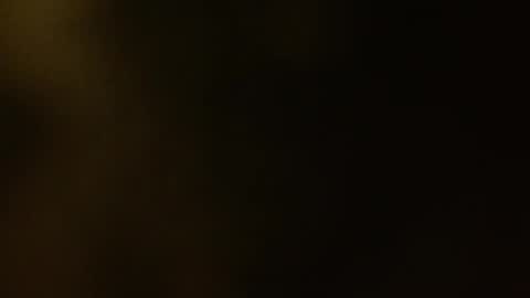 Kamelia  6 am-10 am  4 pm-6 pm online show from March 11, 11:23 am