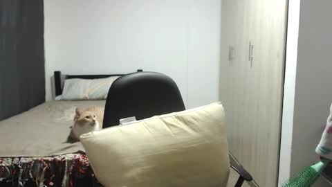  Khawit  online show from November 15, 11:55 am