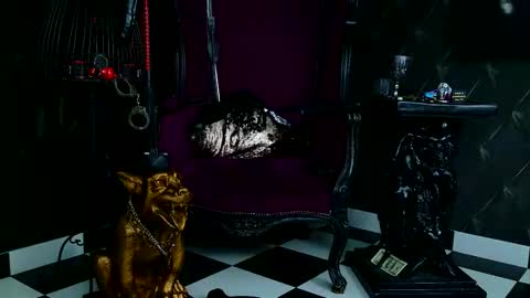 Kaya online show from September 30, 9:04 am