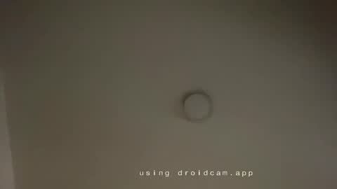 kelly__thomson online show from February 1, 2:16 pm