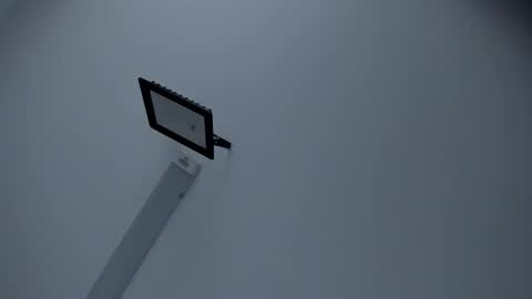 Kendal online show from March 13, 12:06 pm