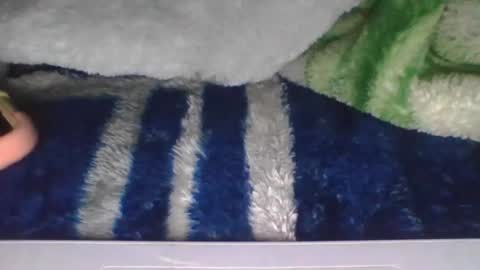 ana online show from October 19, 9:22 am