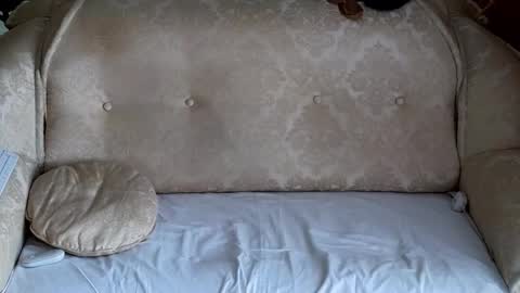 ALYONA online show from October 3, 9:14 am