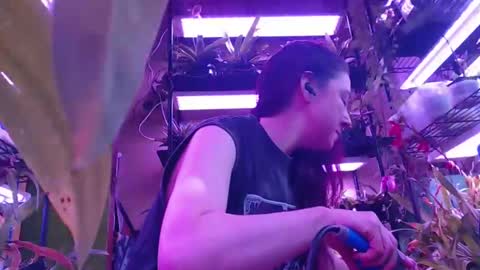 krookedorchid online show from November 1, 2:54 pm