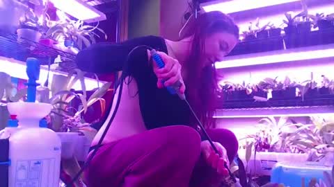 krookedorchid online show from October 30, 10:06 am