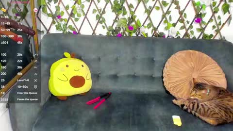 la_saris online show from May 3, 1:42 am