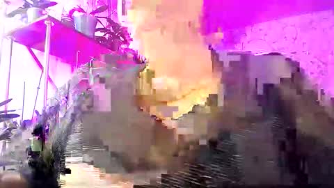 Lady Gloria online show from October 26, 5:36 am