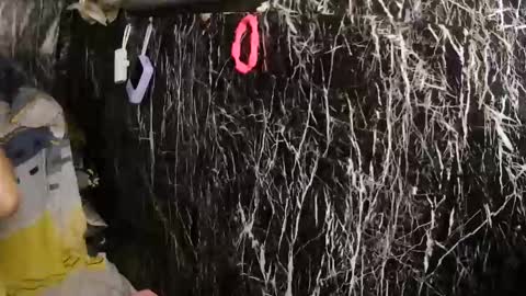 ladylaine14 online show from October 22, 4:56 pm