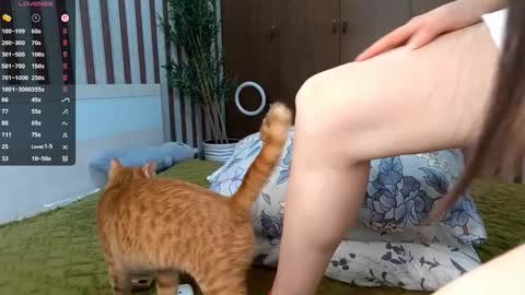 Alice online show from March 10, 8:18 am