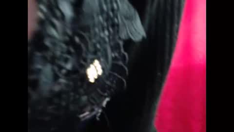 Lia online show from November 24, 1:57 pm