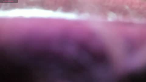 lilirouse online show from April 28, 10:41 am