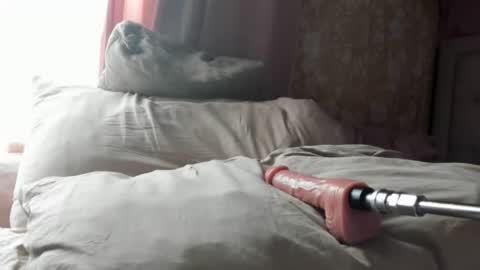 Ali online show from October 21, 3:38 pm