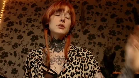 Niki  free tg channel with some photos gifs and info about streams  online show from February 3, 3:49 pm