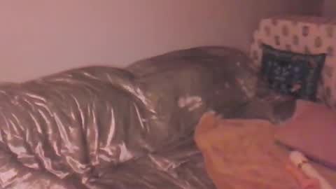 Lola Peach xo online show from March 20, 12:26 am