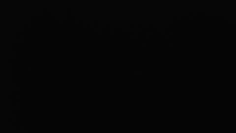 Lory online show from March 11, 12:15 am