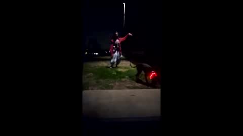 love_blooms online show from March 4, 10:55 am