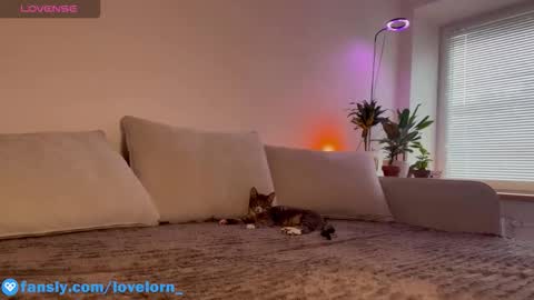 Elsa online show from October 22, 11:48 am