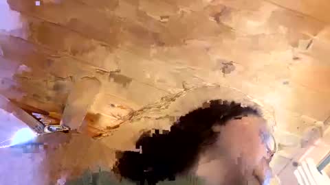 Connie online show from January 14, 5:56 pm