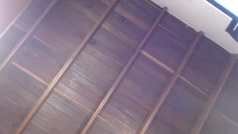 Luna online show from April 15, 6:08 pm