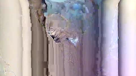 Bee Bee online show from November 2, 11:02 am