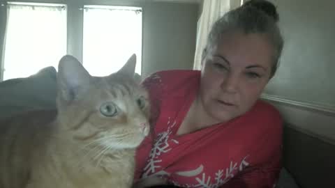 Madison online show from December 4, 3:13 pm