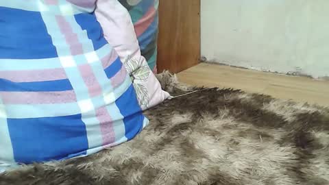 maegold69 online show from December 16, 3:45 am