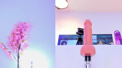 Maily  online show from November 8, 10:26 pm