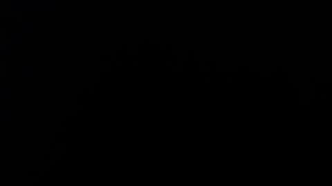 Alice Asylum online show from November 17, 11:38 pm